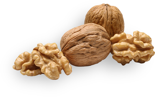 walnuts.png